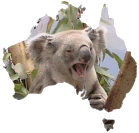 Koala Help Germany-Australia